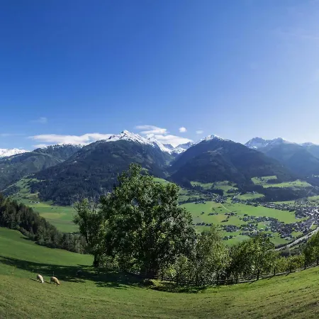 Alpine View - Garden View * Niedernsill